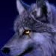 alocerwolf26