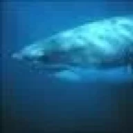 Sharky69