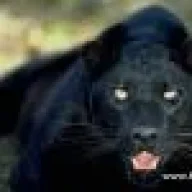 loky_asessino_@hotmail.co