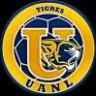 tigres7882