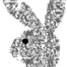 reedbuul