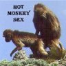 monkeysex