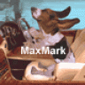 MaxMark