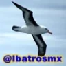 albatrosmx