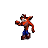 bandicoot3