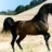 horsepower