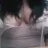 jaibo24