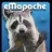 eMapache