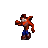 bandicoot3