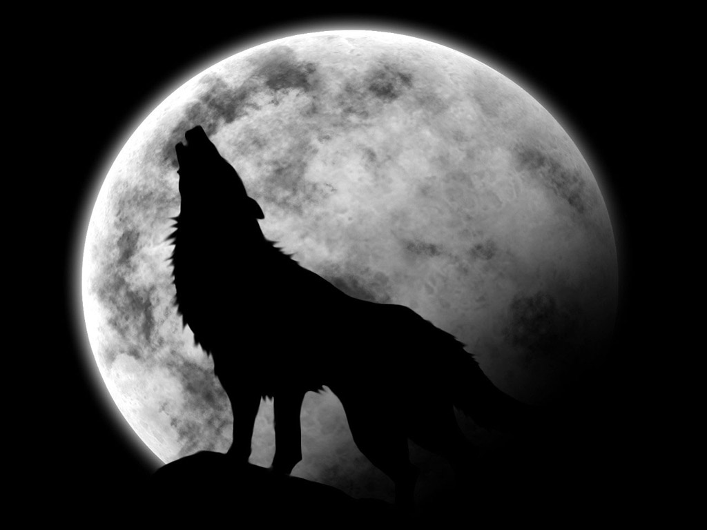 fondos-dibujos-lobos-1024.jpg