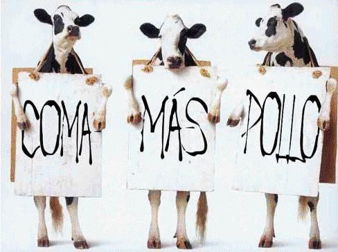 vacas-locas.jpg