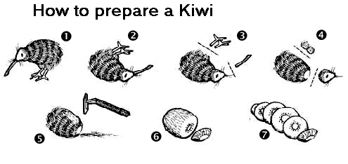 KIWI.gif