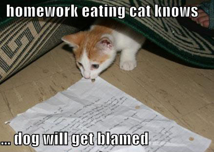 funny-pictures-homework-eating-cat.jpg