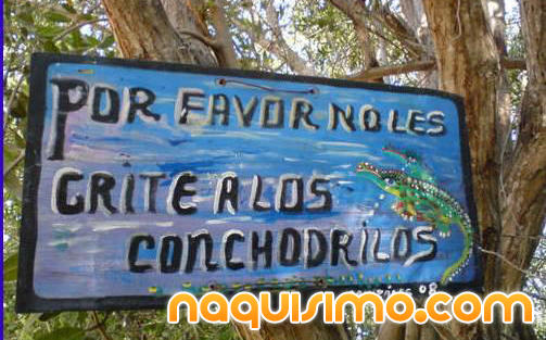 conchodrilos.png