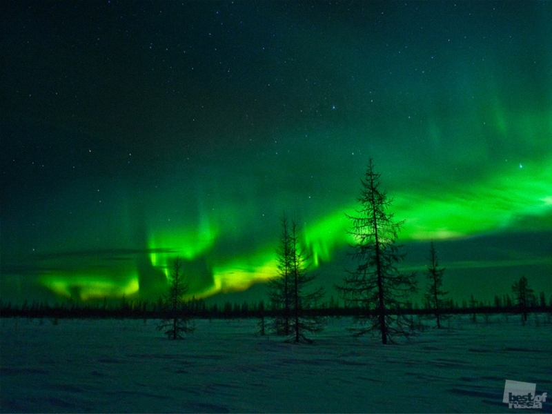 bestphotosofrussianature-23.jpg