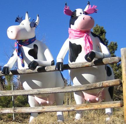 cows.jpg