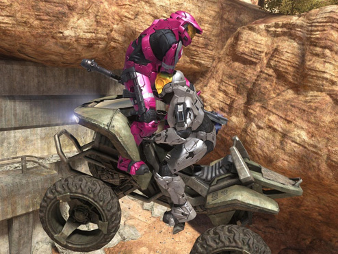 mongoose.jpg