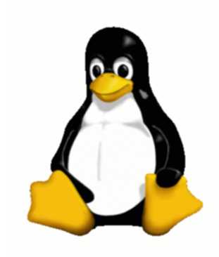 linux.jpg