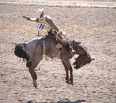 RodeoHorseJump.jpg