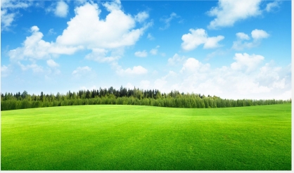 Clouds-trees-field-of-grass-beautiful-nature-landscape-sky-wallp.jpg