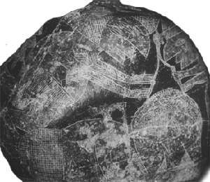 cerv1.gif