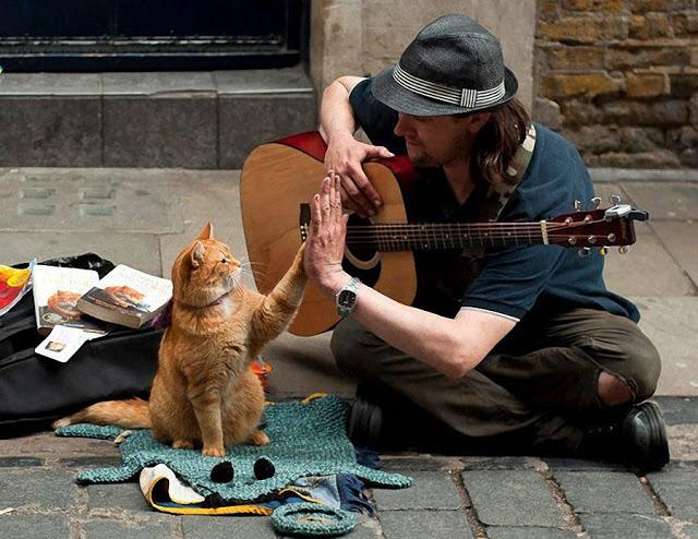bob-el-gato-callejero-que-cambio-vida-un-musi-L-nDvIik.jpeg