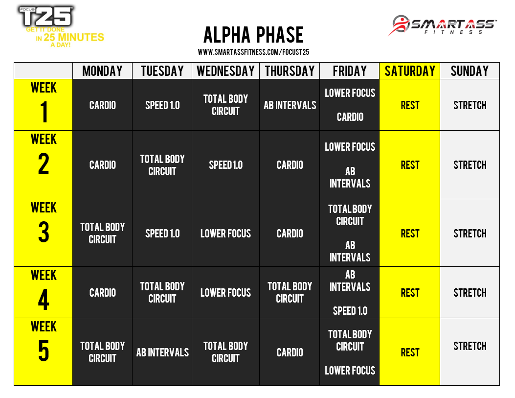 focus_t25_alpha_schedule.png