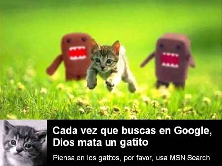 google-gatitos.jpg