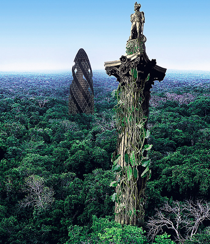 treesDM_688x800.jpg