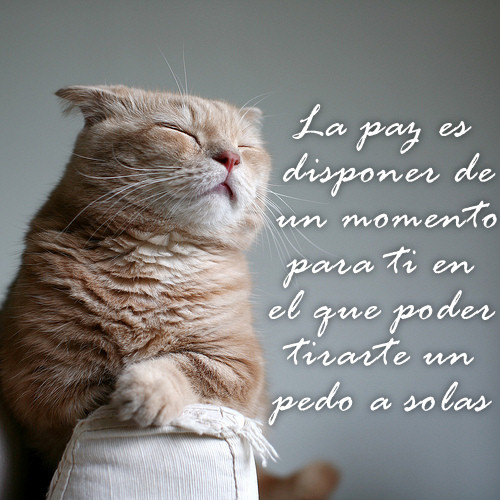 tumblr_l4xnhfNt3Q1qzoz68o1_500.jpg