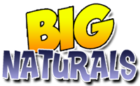 bn_logo.png