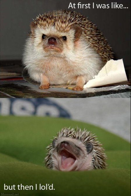 At-first-I-was-like...-but-then-I-lold..jpg