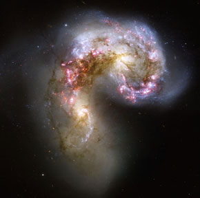 web_Antannae_i.jpg