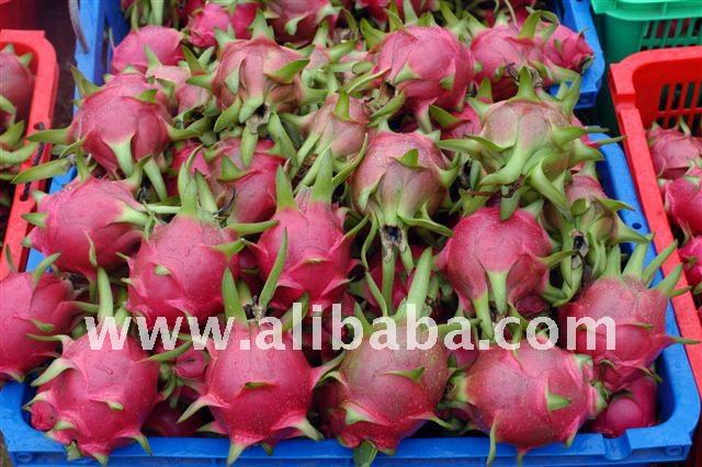 Dragon_Fruit_Pitahaya_.jpg