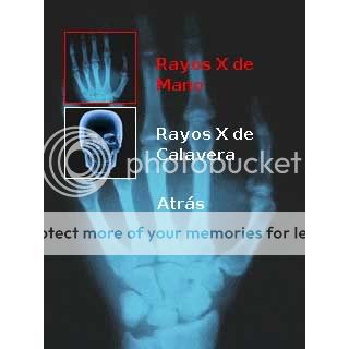 xrayscanner_3.jpg