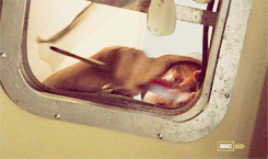 tumblr_m3wc30qBYx1qd6a26o4_250.gif