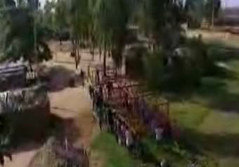 Croc2-1.jpg