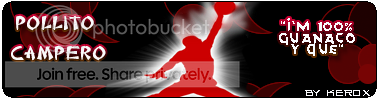 pollitocampero.png