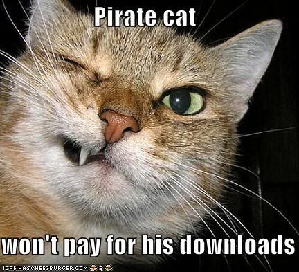 pirate-cat-grimaces.jpg