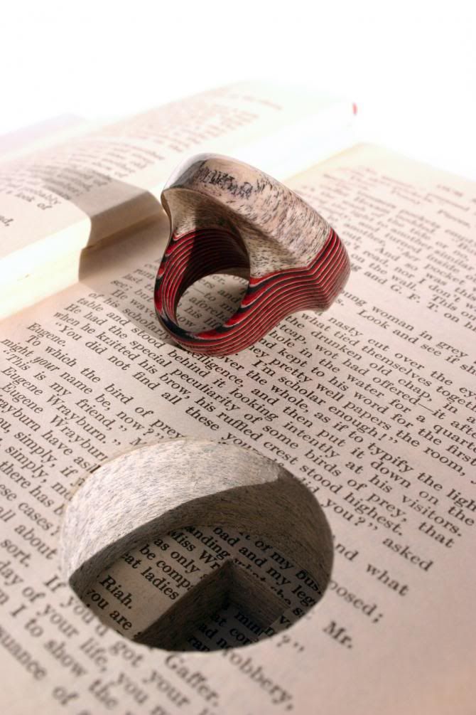 anillos_hechos_con_libros_1dh_wide.jpg