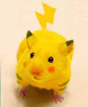 Real-Pikachu-pokemon-16837015-302-367.jpg