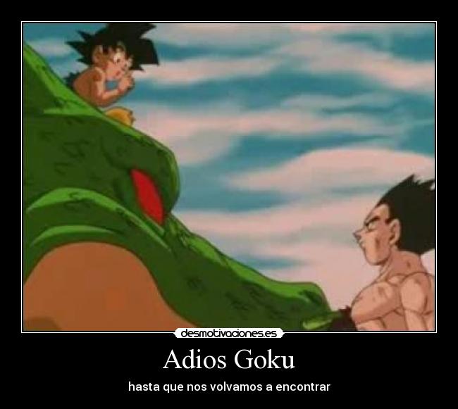 adiosgokuastaquenosvolvamosaencontrar.jpg