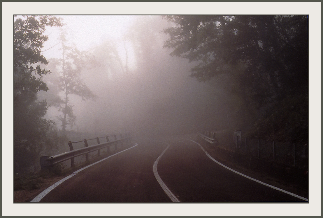 foggy_road205.jpg