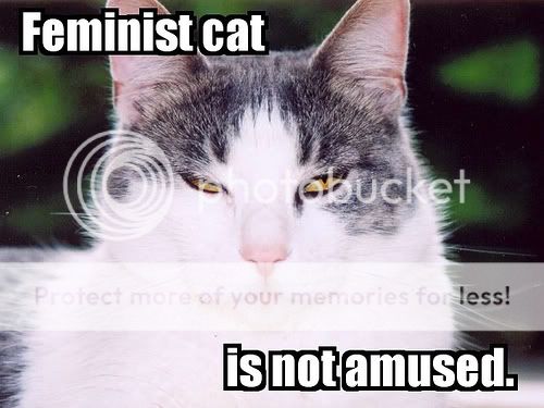 feministcat.jpg