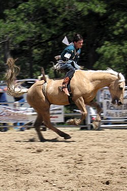250px-Rodeo_rider_1.jpg
