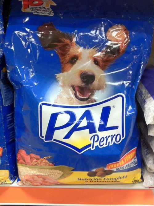 391576_comida_perros_20110418113626.jpg