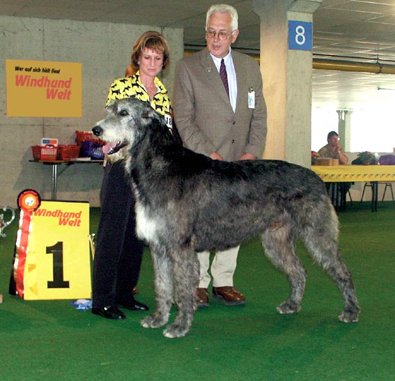 !!irish_wolfhound_095.jpg
