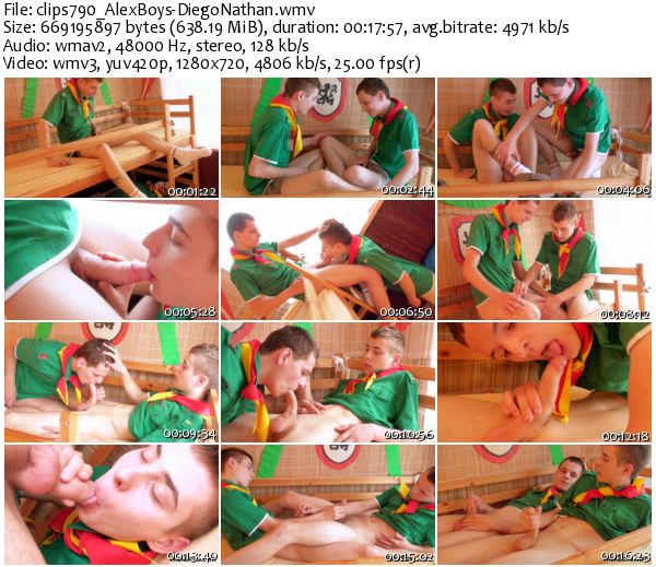 clips790b.jpg
