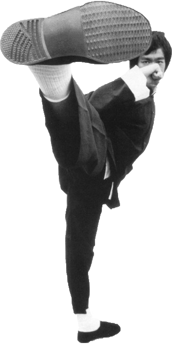 tumblr_m998q7W0621qgpnw5o1_500.png