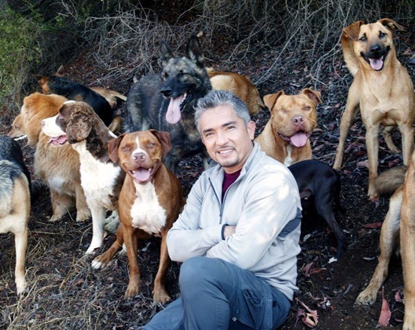 CesarMillan.jpg